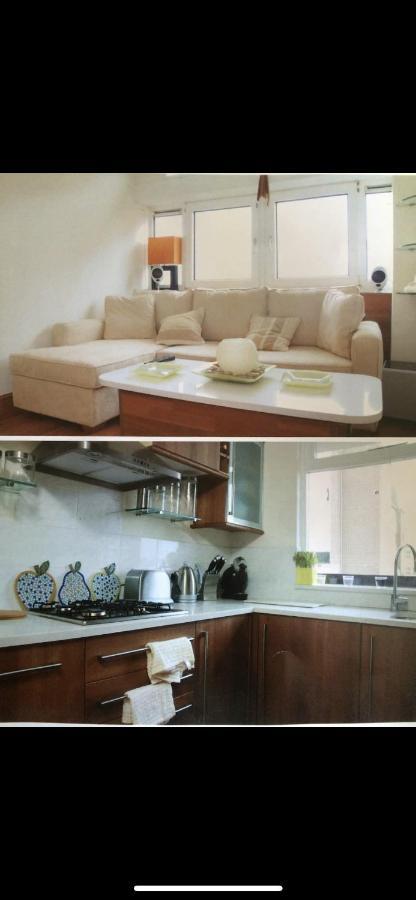 伦敦Putney Flat公寓 外观 照片